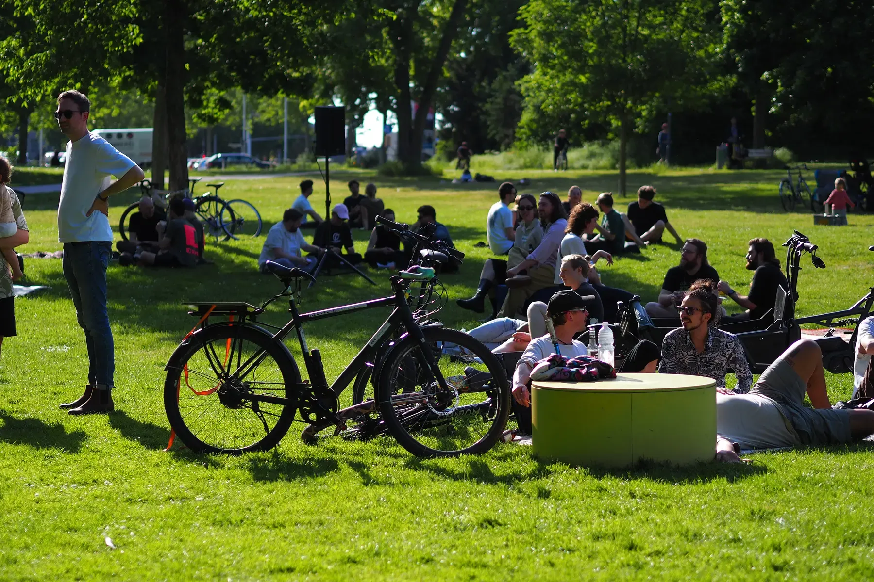P5091568 2.webp